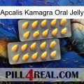 Apcalis Kamagra Oral Jelly cialis2